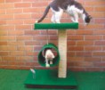 GIMNASIO PARA GATOS DOS NIVELES
